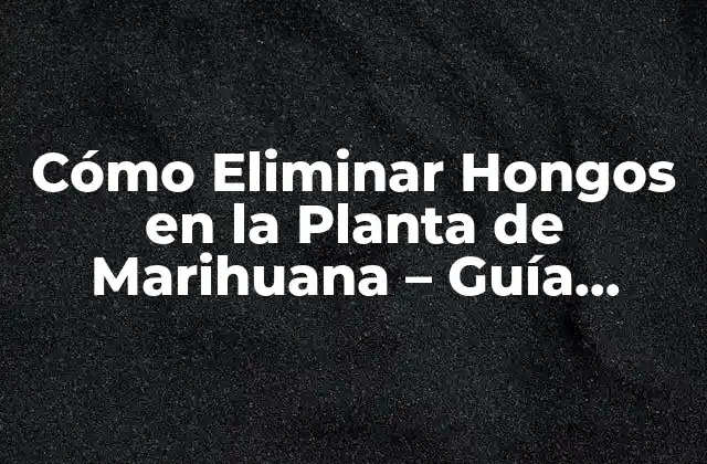 Causas de la Infestación de Hongos en la Planta de Marihuana