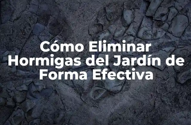 Cómo Eliminar Hormigas Del Jardín de Forma Efectiva