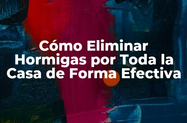 Cómo Eliminar Hormigas por Toda la Casa de Forma Efectiva