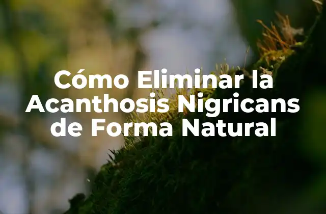 Cómo Eliminar la Acanthosis Nigricans de Forma Natural 2 Causas de la Acanthosis Nigricans