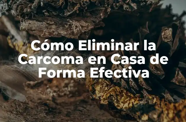 Cómo Eliminar la Carcoma en Casa de Forma Efectiva