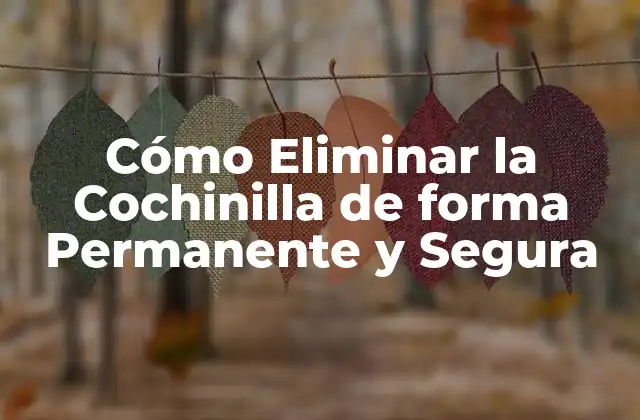 Cómo Eliminar la Cochinilla de Forma Permanente y Segura