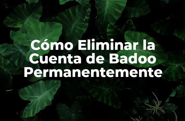 Cómo Eliminar la Cuenta de Badoo Permanentemente