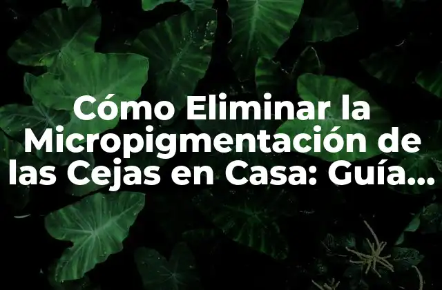 Cómo Eliminar la Micropigmentación de las Cejas en Casa: Guía Detallada y Segura