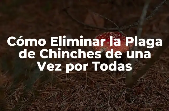 Cómo Eliminar la Plaga de Chinches de una Vez por Todas