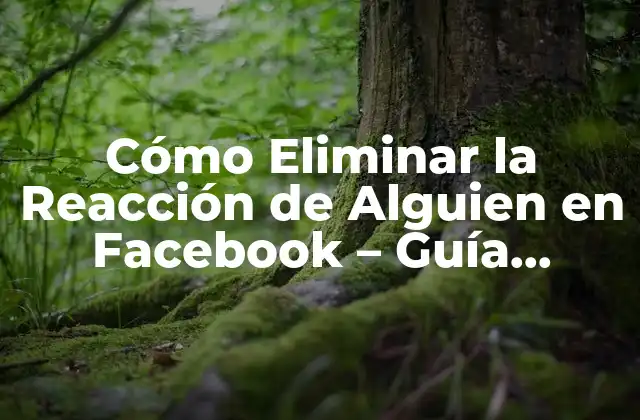 Cómo Eliminar la Reacción de Alguien en Facebook – Guía Detallada