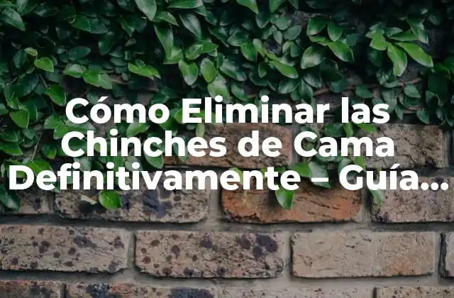 Cómo Eliminar las Chinches de Cama Definitivamente - Guía Completa 2 Cómo Identificar una Infestación de Chinches de Cama