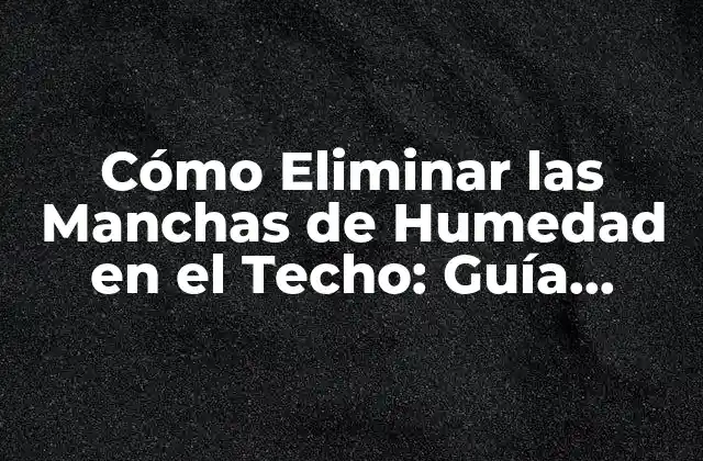 Cómo Eliminar las Manchas de Humedad en el Techo: Guía Completa
