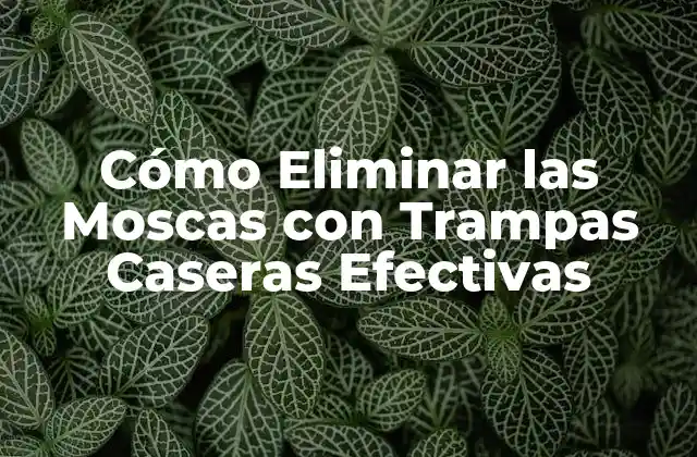 Cómo Eliminar las Moscas con Trampas Caseras Efectivas 2 ¿Por qué las Trampas Caseras son Mejores que los Insecticidas Comerciales?