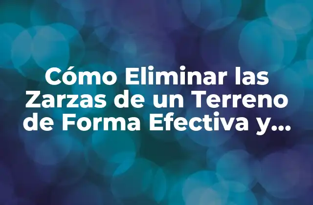 Cómo Eliminar las Zarzas de un Terreno de Forma Efectiva y Segura