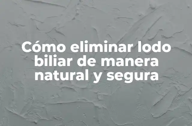 Cómo Eliminar Lodo Biliar de Manera Natural y Segura 2 ¿Qué es el lodo biliar?