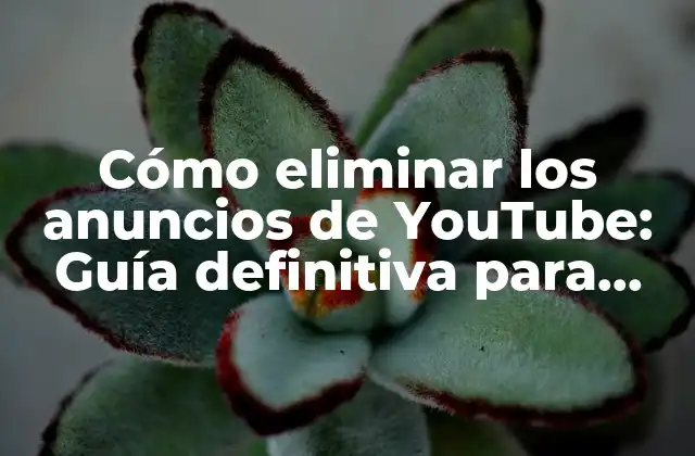 Cómo Eliminar los Anuncios de Youtube: Guía Definitiva para una Experiencia de Visualización sin Interrupciones