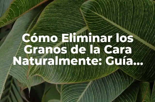 Cómo Eliminar los Granos de la Cara Naturalmente: Guía Completa 2 Causas Comunes de los Granos en la Cara
