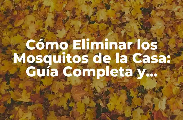Cómo Eliminar los Mosquitos de la Casa: Guía Completa y Efectiva