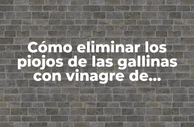 Cómo Eliminar los Piojos de las Gallinas con Vinagre de Manzana