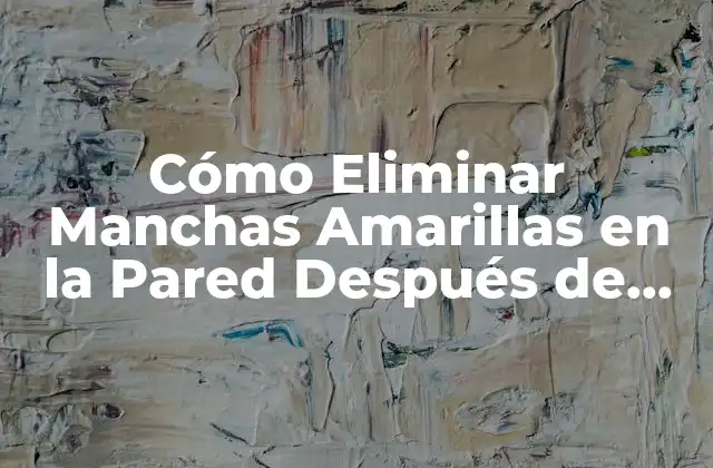 Cómo Eliminar Manchas Amarillas en la Pared Después de Pintar