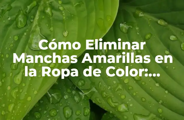 Cómo Eliminar Manchas Amarillas en la Ropa de Color: Soluciones Efectivas