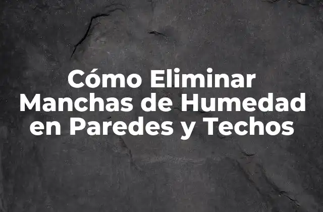 Cómo Eliminar Manchas de Humedad en Paredes y Techos