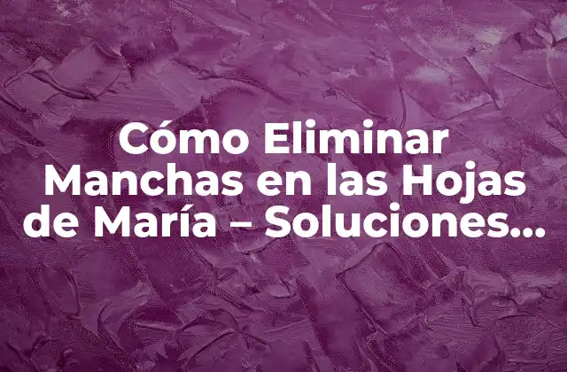 Cómo Eliminar Manchas en las Hojas de María – Soluciones Efectivas