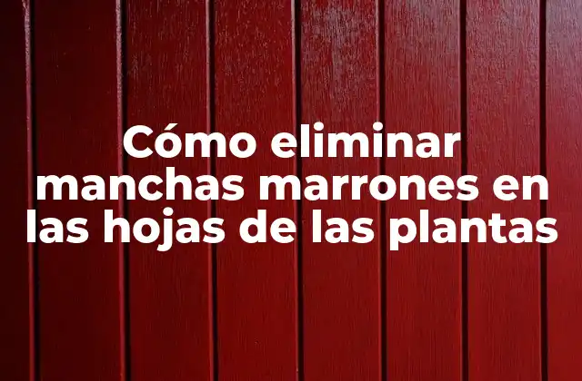 Cómo Eliminar Manchas Marrones en las Hojas de las Plantas