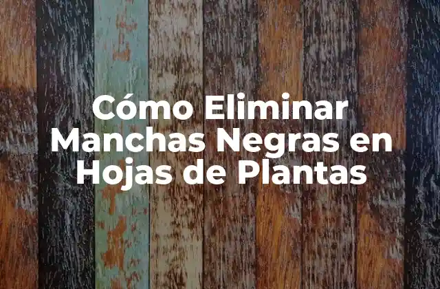 Cómo Eliminar Manchas Negras en Hojas de Plantas