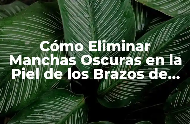 Cómo Eliminar Manchas Oscuras en la Piel de los Brazos de Forma Natural