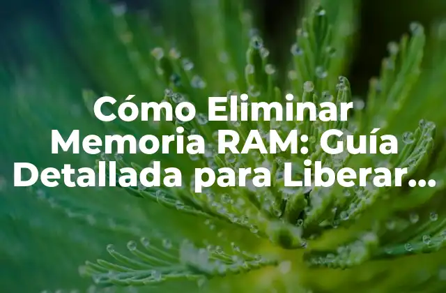 Cómo Eliminar Memoria Ram: Guía Detallada para Liberar Espacio en Tu Computadora
