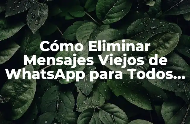 Cómo Eliminar Mensajes Viejos de Whatsapp para Todos – Guía Completa