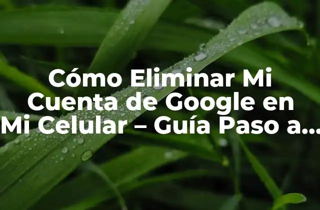 ¿Por qué Querrías Eliminar Tu Cuenta de Google en Tu Celular?