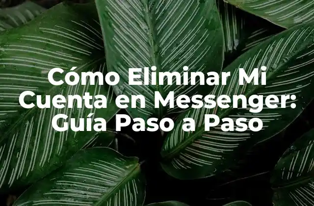 Cómo Eliminar Mi Cuenta en Messenger: Guía Paso a Paso