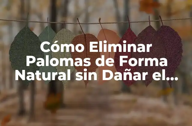 Cómo Eliminar Palomas de Forma Natural sin Dañar el Medio Ambiente