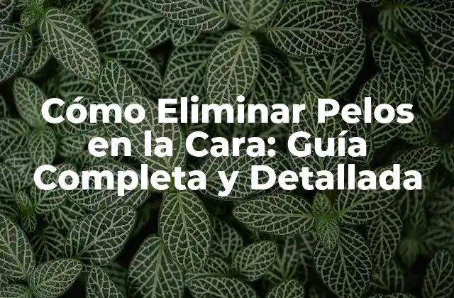 Cómo Eliminar Pelos en la Cara: Guía Completa y Detallada 2 Causas de los Pelos en la Cara