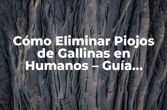 Cómo Eliminar Piojos de Gallinas en Humanos – Guía Completa