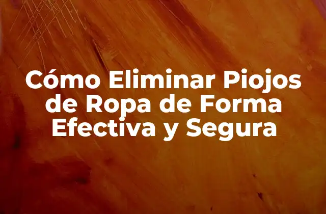 Cómo Eliminar Piojos de Ropa de Forma Efectiva y Segura 2 ¿Cuáles son los Síntomas de los Piojos de Ropa?
