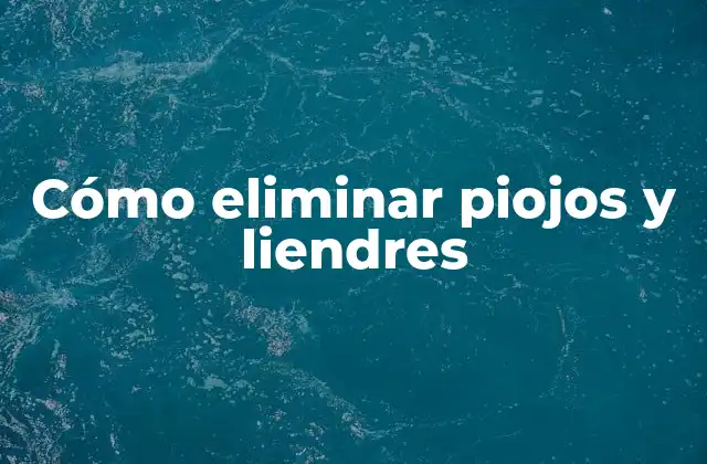 Cómo Eliminar Piojos y Liendres