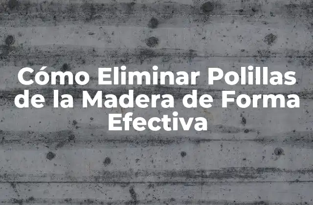 Cómo Eliminar Polillas de la Madera de Forma Efectiva