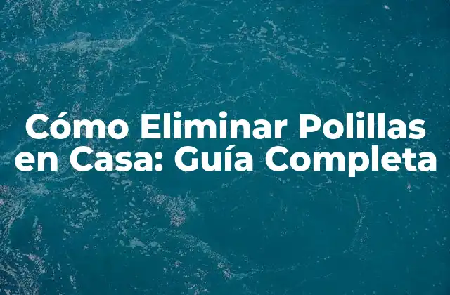 Cómo Eliminar Polillas en Casa: Guía Completa