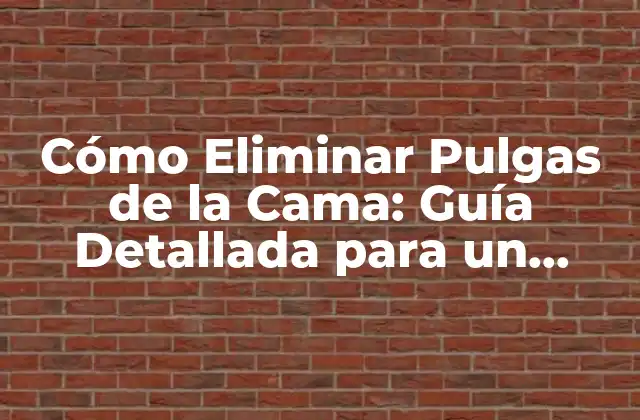 Cómo Eliminar Pulgas de la Cama: Guía Detallada para un Sueño sin Picazón