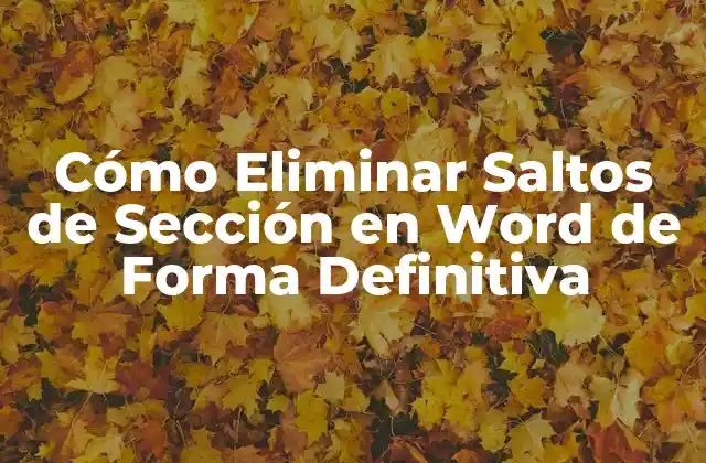 ¿Qué son los Saltos de Sección en Word?
