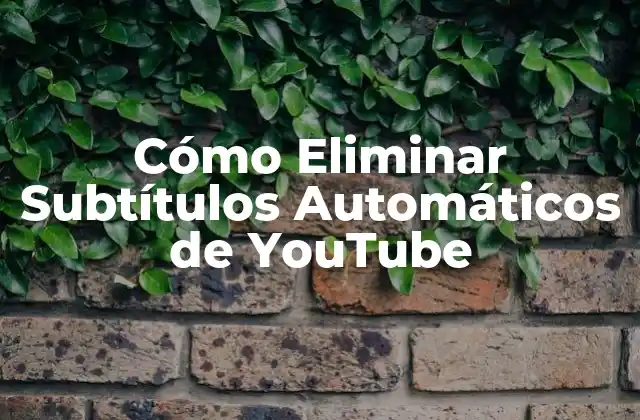 Cómo Eliminar Subtítulos Automáticos de Youtube