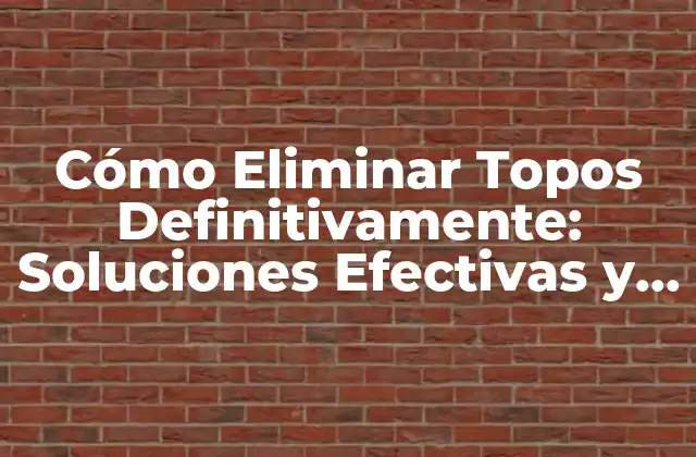 Cómo Eliminar Topos Definitivamente: Soluciones Efectivas y Permanentes