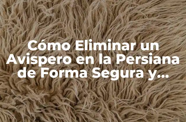 Cómo Eliminar un Avispero en la Persiana de Forma Segura y Efectiva