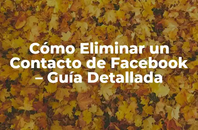 Cómo Eliminar un Contacto de Facebook – Guía Detallada
