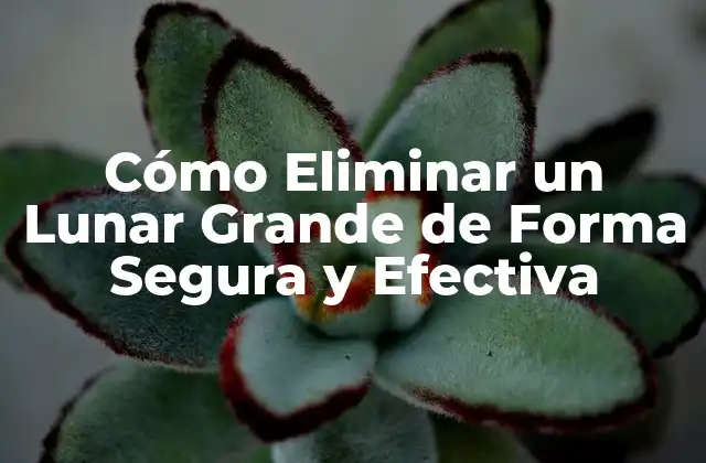 Cómo Eliminar un Lunar Grande de Forma Segura y Efectiva