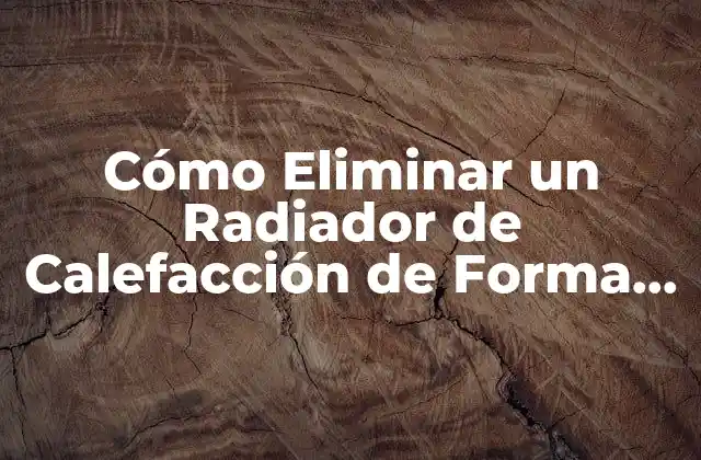 Cómo Eliminar un Radiador de Calefacción de Forma Segura y Eficiente