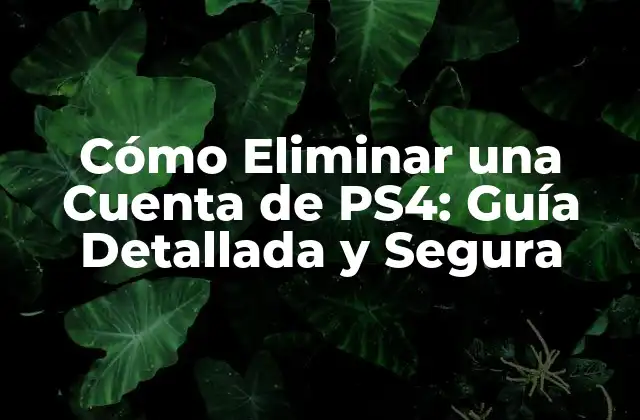 Razones para Eliminar una Cuenta de PS4
