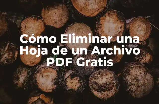 Cómo Eliminar una Hoja de un Archivo Pdf Gratis