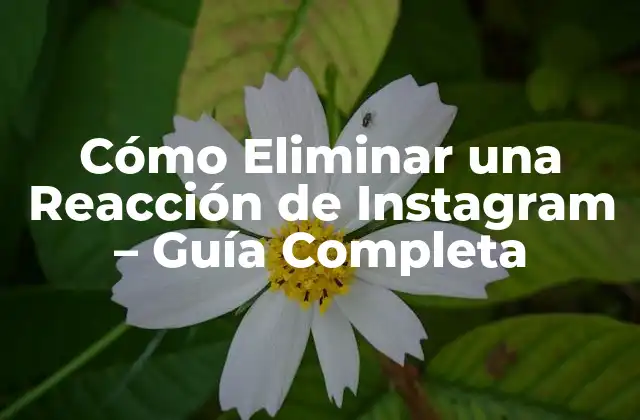 Cómo Eliminar una Reacción de Instagram – Guía Completa