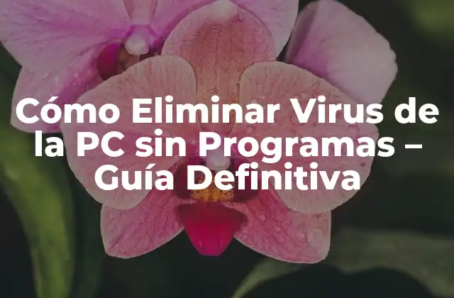 Cómo Eliminar Virus de la Pc sin Programas – Guía Definitiva