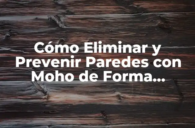 Cómo Eliminar y Prevenir Paredes con Moho de Forma Efectiva